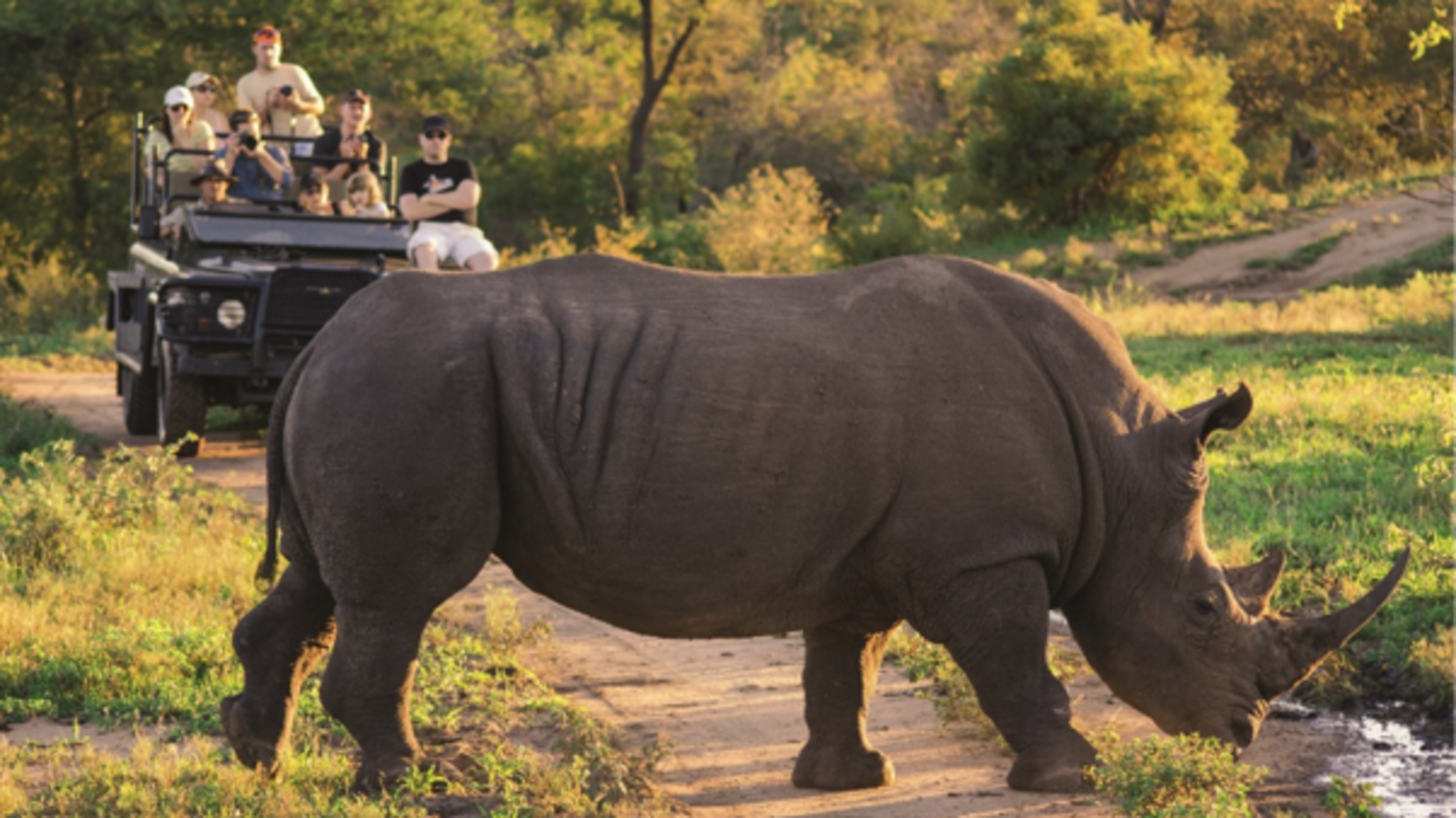 Five reasons why South Africa is the perfect family holiday destination 